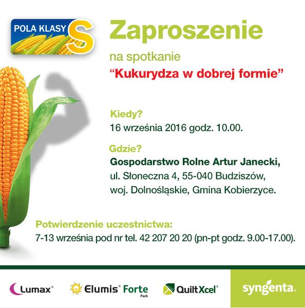 Zaproszenie Syngenta 16 września - Pola Klasy S - kukurydza
